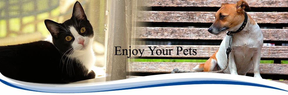 Precise Home Care lifestyle